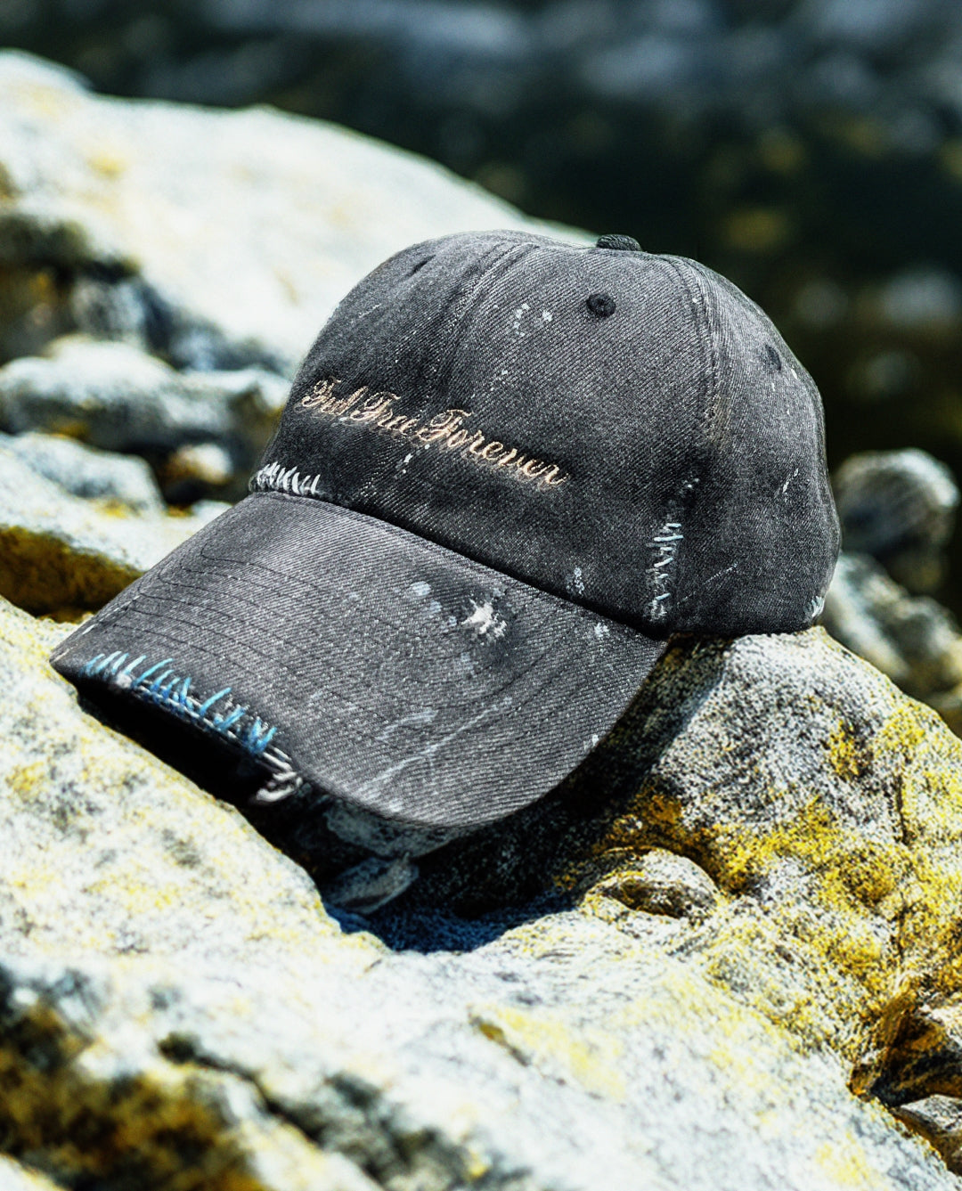 Denim Cap - Painter