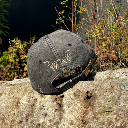 Distressed Denim Cap